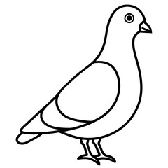 Elegant Pigeon Outline Illustration