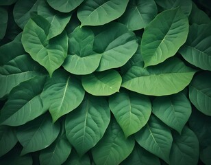 green leaf background texture. the leaves are close