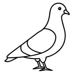 Elegant Pigeon Outline Illustration