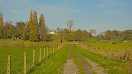Obraz premium Trail along meadows with trees in the countryside near Ronse, Flanders, Belgium 