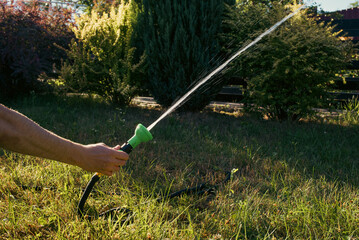 A man's hand watering the garden with a hose on a sunny day