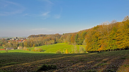 Sunny meadow and colorful autumn trees in Muziekbos woods, Ronse, Flanders, Belgium