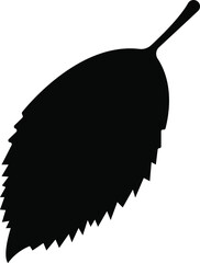 Hornbeam leaf in flat Useful leaves silhouette icons vegan analysis vector for apps, web isolated on transparent background