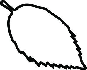 Hornbeam leaf in line Useful leaves silhouette icons vegan analysis vector for apps, web isolated on transparent background