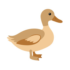 Cute Brown Duck Illustration on Black Background