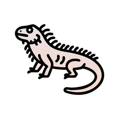 Pink Frilled Lizard Illustration on a Black Background