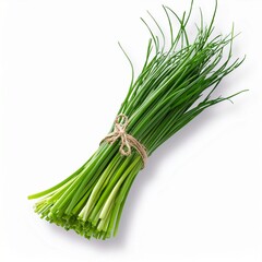 Fresh organic green chives, raw aromatic garden herbs Isolated