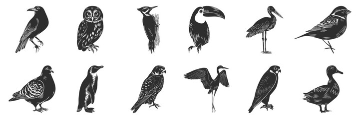 Fototapeta premium Bird Silhouettes Collection. Diverse Avian Species In Detailed Silhouette Illustrations Isolated Vector Set