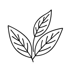 Solid black background with no discernible elements visible