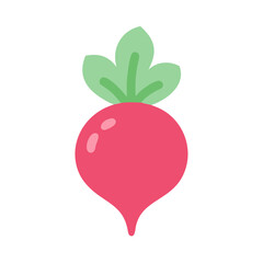 Pink radish vector illustration with green leaves design