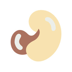 Minimalist Cashew Nut Vector Illustration on Black Background