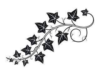 ivy vine design element, minimalistic vector of leaves in outline, plant stem or tree branch clip-art, pretty curving floral design isolated on white background, decorative wedding invitation art