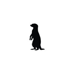 meerkat silhouette on white background