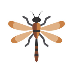 Brown and Beige Dragonfly Isolated on Black Background