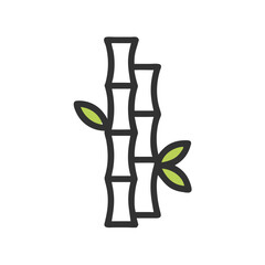 Bamboo shoots with leaves isolated on black background