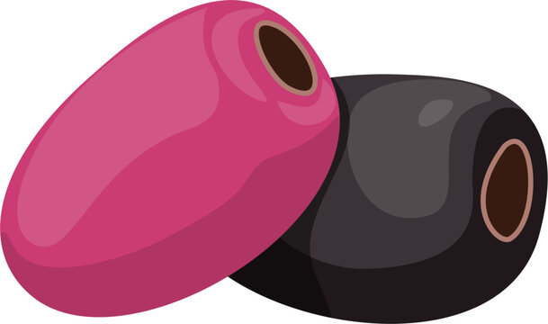 Jamblang fruit from Indonesia 