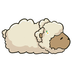 Sheep sleep