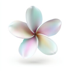 Fototapeta premium Elegant Multi-Colored Flower with Soft Petals on White Background