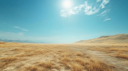 Fototapeta premium Vast Open Field with Clear Blue Sky and Bright Sunlight