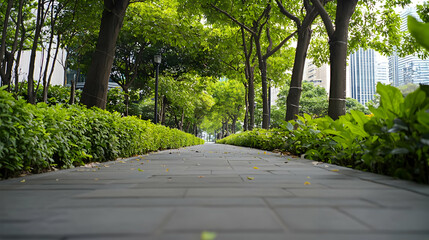 Urban Pathway Lined With Lush Green Trees
