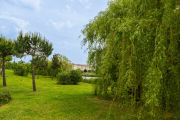 Serene park landscape with lush green grass, tall trees, and tranquil pond, offering peaceful natural setting under clear blue sky. Ornithological park in Adler (Sirius).