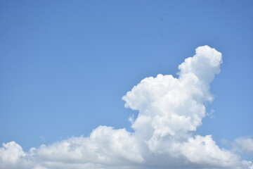 Serene Bakkhali River view: concrete blocks piled along the water&rsquo;s edge under a clear blue sky with a lone cloud, bordered by lush green vegetation. Perfect for travel and landscape visuals.