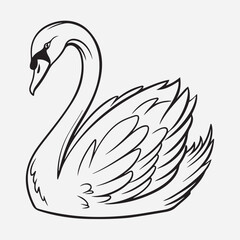 exclusive swan line art vector illustration