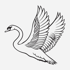 exclusive swan line art vector illustration