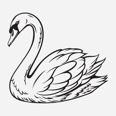 exclusive swan line art vector illustration