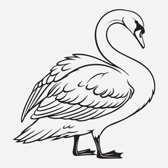exclusive swan line art vector illustration