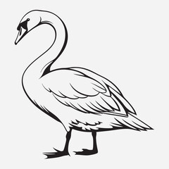 exclusive swan line art vector illustration