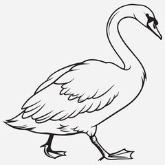exclusive swan line art vector illustration