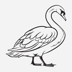 exclusive swan line art vector illustration