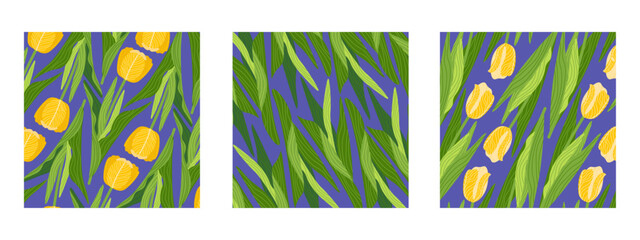 Three square botanical hand-drawn illustrations featuring various floral backgrounds with multiple tulips flowers and leaves. Ideal for banners, covers, greeting cards, invitations, posters, and other