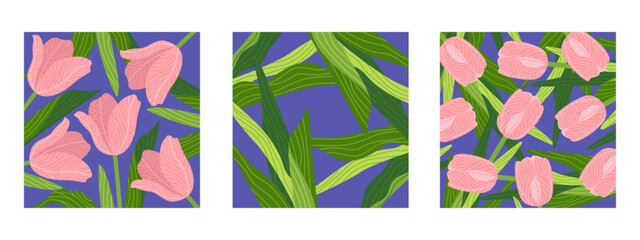 Three square botanical hand-drawn illustrations featuring various floral backgrounds with multiple tulips flowers and leaves. Ideal for banners, covers, greeting cards, invitations, posters, and other
