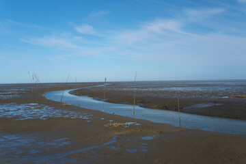 Serene Coastal Landscape with Winding Stream