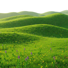  PNG Lush green rolling hills landscape
