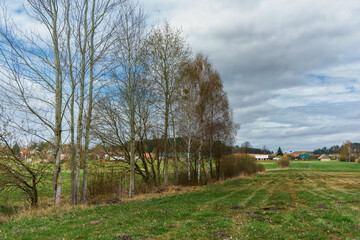  Wzgórza Sokólskie wiosną ,Podlasie, Polska © podlaski49