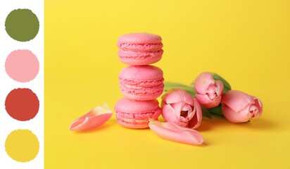 Tasty macarons and tulips on yellow background. Different color patterns
