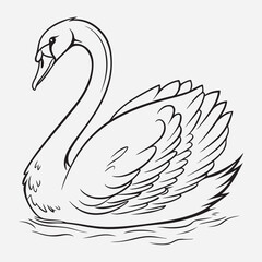 exclusive swan line art vector illustration