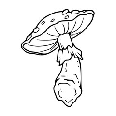 poisonous mushroom drawing