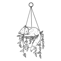 sketch of cute kitten napping on hanging plant