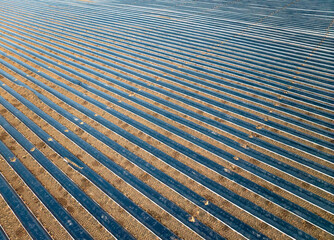 huge plastic covered asaragus fields in the fertile agricultural landscape of Langes Feld north of Stuttgart, Baden-Wuerttemberg, Germany 
