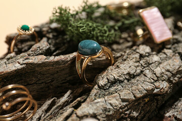 Tree bark with stylish rings and moss on beige background, closeup