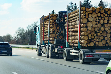 Truck transporting logs on a highway during a clear day with trees lining the roadside
