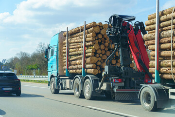 Truck transporting logs on a highway surrounded by nature in daylight with clear skies