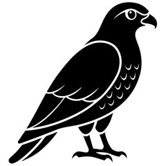 Fototapeta premium goshawk vector icon white background