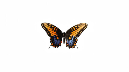 a butterfly with colorful wings on a transparent background, PNG image, PNG file, Generative art.
