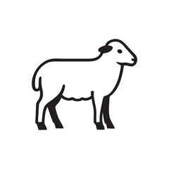 sheep vector illustration