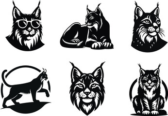 Digital Art of Iberian Lynx Cat set, Forest Animal Illustration for Print or Web © Kazol